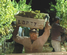 画像をギャラリービューアに読み込む, ナカイシャルドネ2016年エステートボトルDRAGON