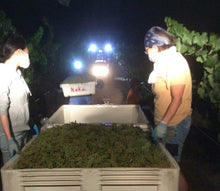 画像をギャラリービューアに読み込む, Shall We Wine? 2017 Chardonnay