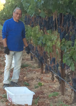 画像をギャラリービューアに読み込む, ナカイメルロー2013年エステートボトル