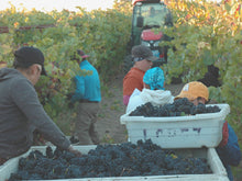 画像をギャラリービューアに読み込む, ナカイピノ・ノアール2017年エステートボトル