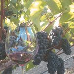 画像をギャラリービューアに読み込む, ナカイピノ・ノアール スペシャルキュヴェN.V.